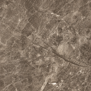 Fossil Stone PVC wall panel