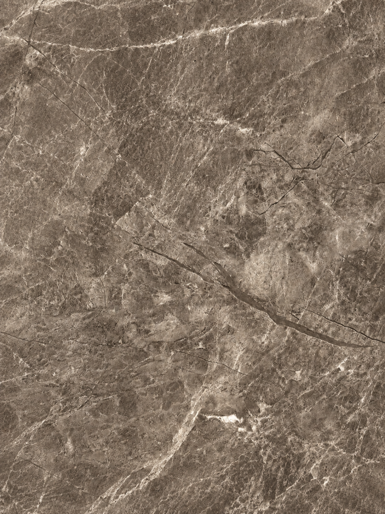 Fossil Stone PVC wall panel
